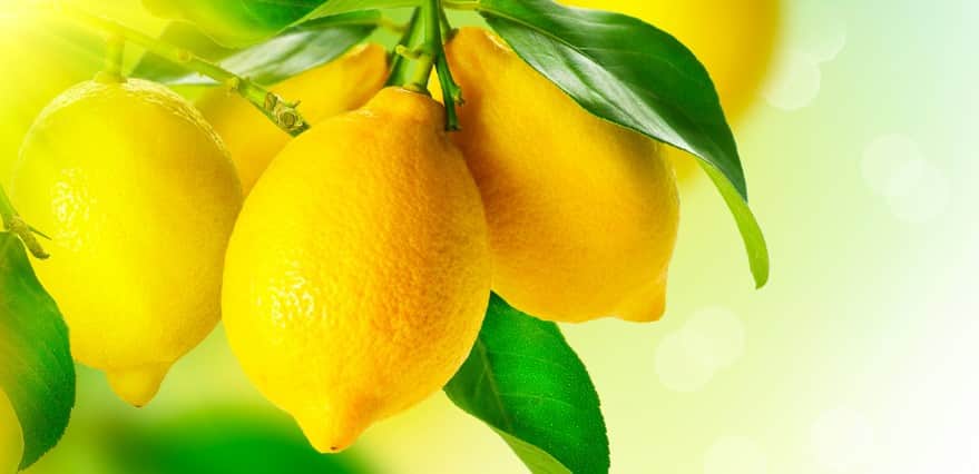 Можно ли лимоном протирать лицо?